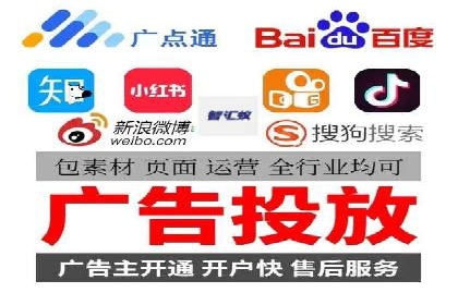 行业领先企业的网络推广与竞价经验